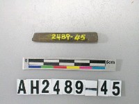 藏品(磨製石針)的圖片